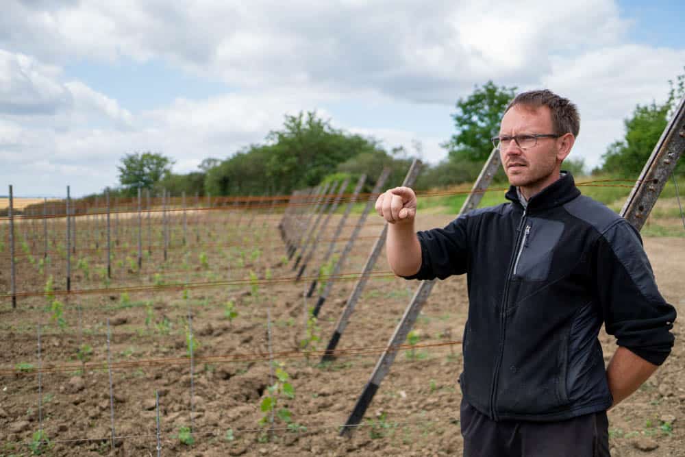 Interview mit Jörn Goziewski: Die Wiederbelebung des Erfurter Weinbaus