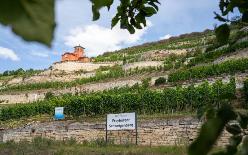 Saale-Unstrut: Ausflug ins nördlichste Weinanbaugebiet Deutschlands