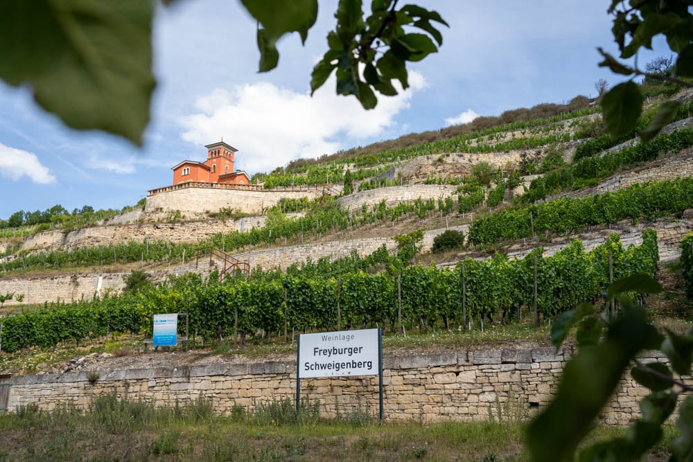 Saale-Unstrut: Ausflug ins nördlichste Weinanbaugebiet Deutschlands